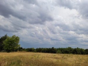 Rain Clouds